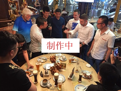 足球——德甲：波鸿不敌霍芬海姆